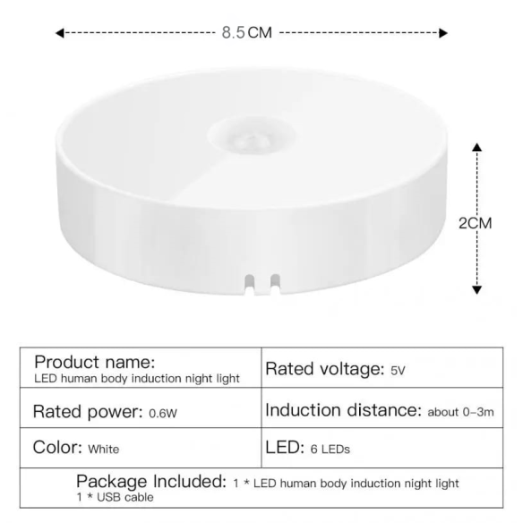 Luz con Sensor de Movimiento (Pack de 2)