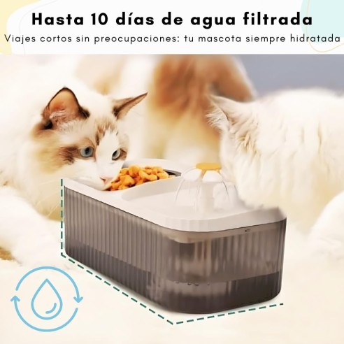 Comedero y bebedero para mascotas