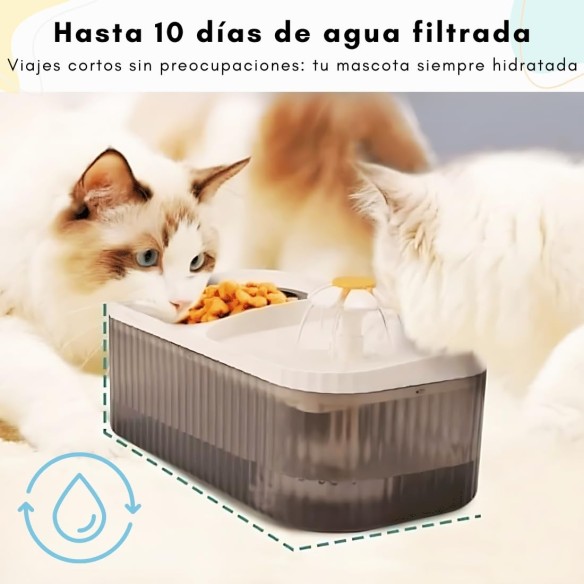 Comedero y bebedero para mascotas