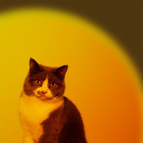 Luz atardecer roja (sin trípode)